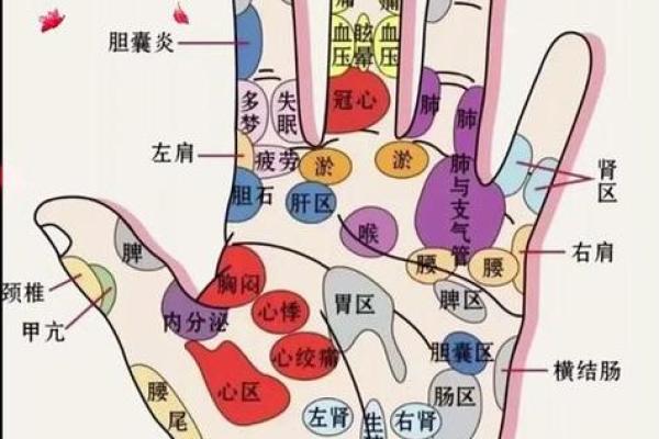 《手相学习百科》：手相健康记号