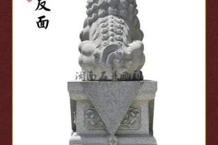 风水中狮子_用什么能压制石狮子