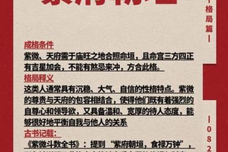 紫薇斗数紫府朝斗