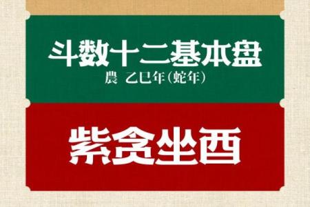 你相信紫薇斗数吗