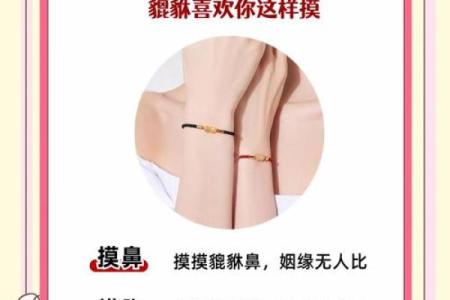 八字弱的人能戴貔貅