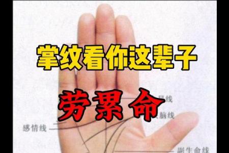 《手相学习百科》：手相看财运和好运