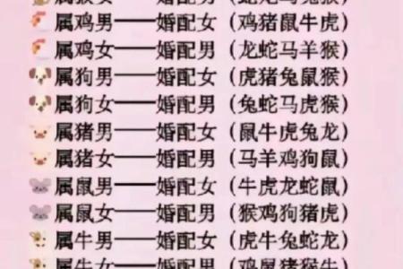 生肖马的姻缘配对，哪些生肖最合适？