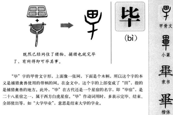 八字星宿毕宿解析，包括基本性格、行业、情感等方面的分析