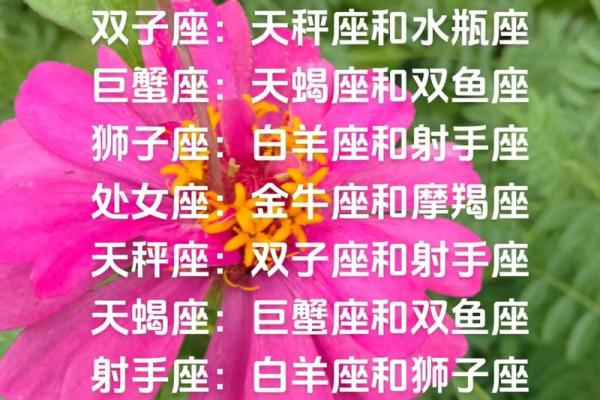 白羊座男和射手座女的配对指数  射手座和白羊座匹配度