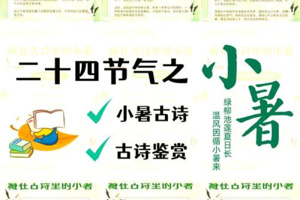 小暑的诗 小暑的主要节气民俗
