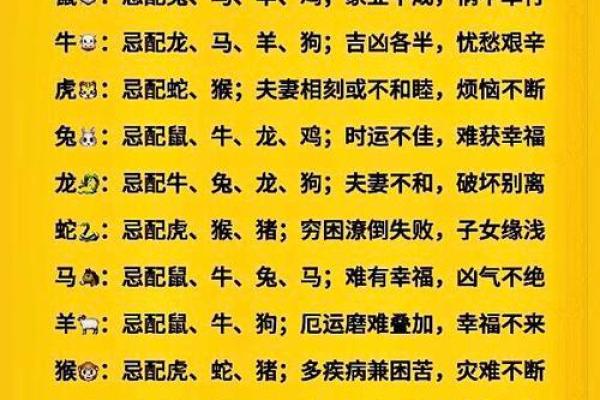 属鼠和什么属相最配对 属鼠和什么属相相冲