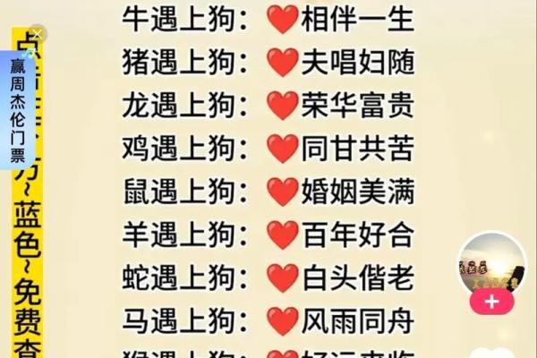 生肖配对：属狗的和什么属相最配