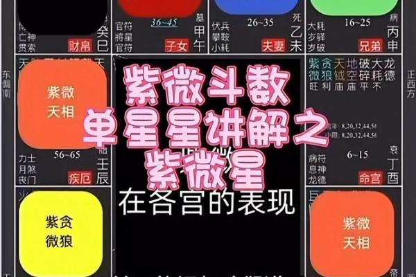 免费姓名配对科技紫微 姓名配对科技紫微星座网？