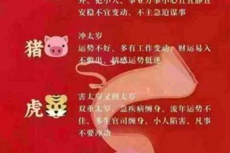 犯太岁会破财吗——八字算命