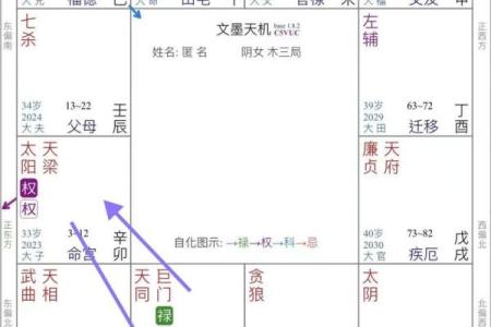 紫微斗数飞星看姻缘 紫微斗数飞星什么意思？