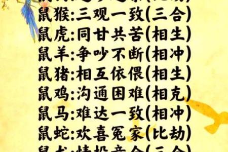 属鼠和什么属相最配对 属鼠和什么属相相冲