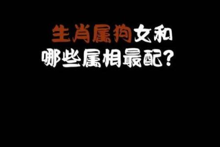 生肖配对：属狗的和什么属相最配
