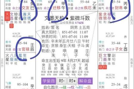 紫薇斗数中什么叫同度
