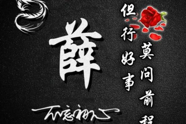 薛姓男孩名字大全-薛姓男孩起名字大全-薛姓名字大全姓名