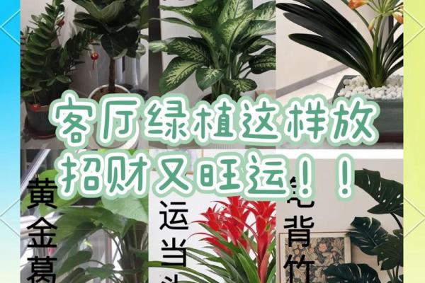 客厅照片墙摆放的风水讲究