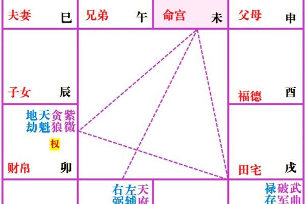 紫薇斗数生年干支