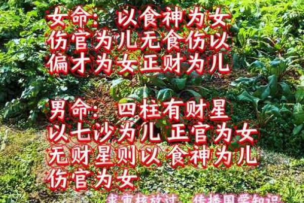 算命看男孩女孩准吗