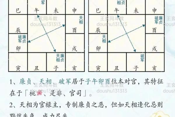怎么排紫薇斗数