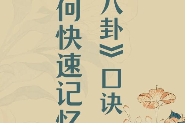 八卦与八字
