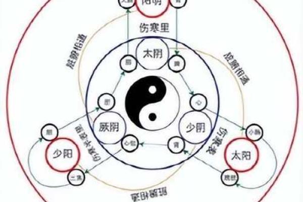 从易经详谈，风水与中医之间的关系！