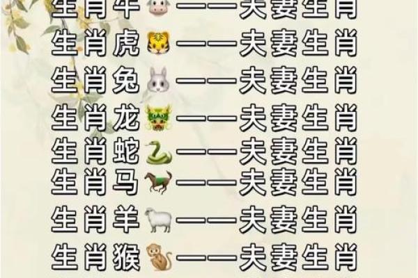 猪跟什么生肖配对最好 生肖猪最佳配对