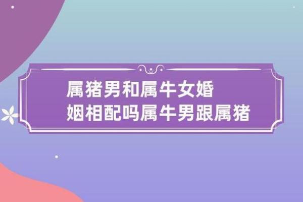 属猪男和属牛女的婚姻怎么样 属猪男和属牛男配对指数