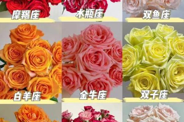 哪些花朵适合十二星座的专属