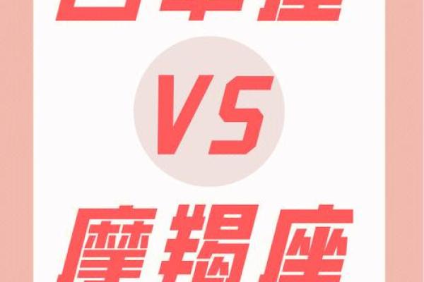 摩羯座适合什么星座男生在一起工作