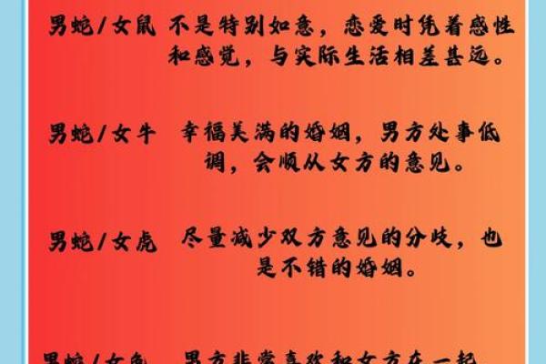 父母与子女属相配对