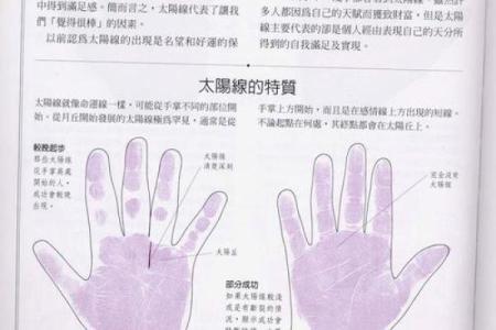 《手相学习百科》：掌脊纹