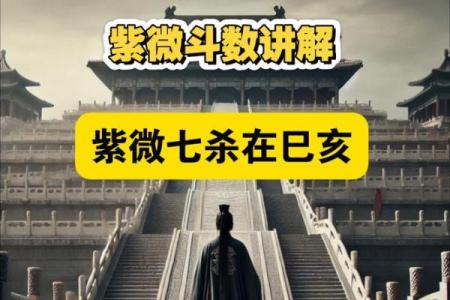 紫薇斗数部下七杀