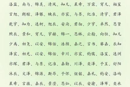 2019年6月29号子时出生的男孩起名时要注意什么姓名