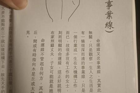 看手纹测命运图解 手相学图解算命大全