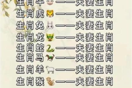 猪跟什么生肖配对最好 生肖猪最佳配对