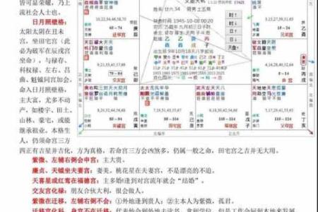 紫微斗数简说紫薇