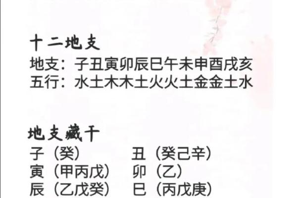 四柱八字中地支藏干如何运用