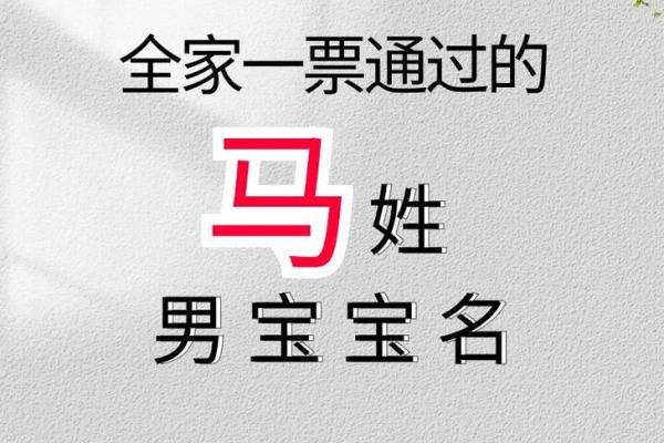 马姓男孩名字大全-马姓男孩起名字大全-马姓名字大全姓名