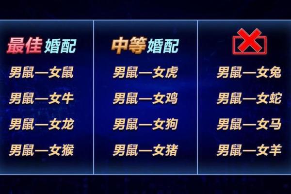 鼠跟什么生肖配对最好 生肖鼠最佳配对