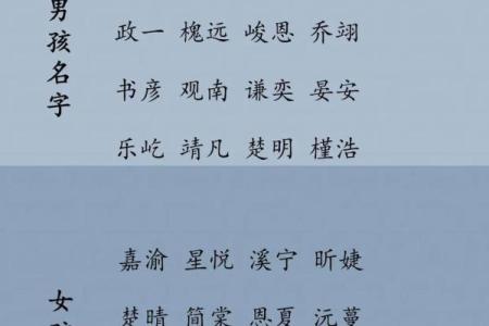 2019年4月2号丑时出生的男孩要怎么起名字姓名