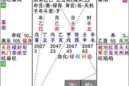 紫微命盘查询免费算命