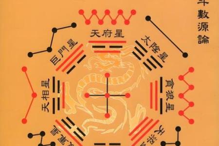 紫薇斗数要学多久
