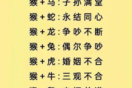 十二生肖姻缘配对生肖配对查询 十二生肖姻缘配对,12属相婚配表？