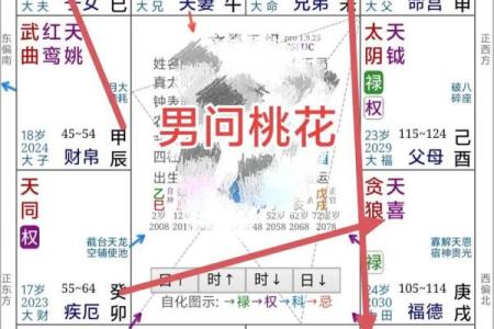 紫薇斗数感情分析