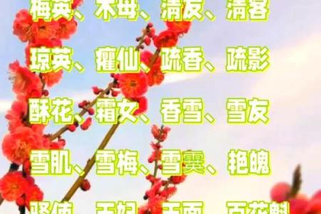 梅姓男孩名字大全-梅姓男孩起名字大全-梅姓名字大全姓名