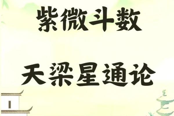 天墨紫薇斗数