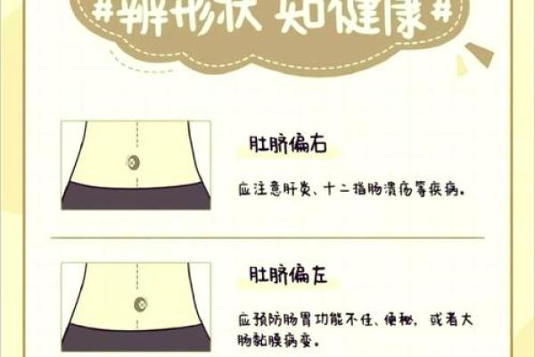 肚脐算命,哪种肚脐眼是富贵相
