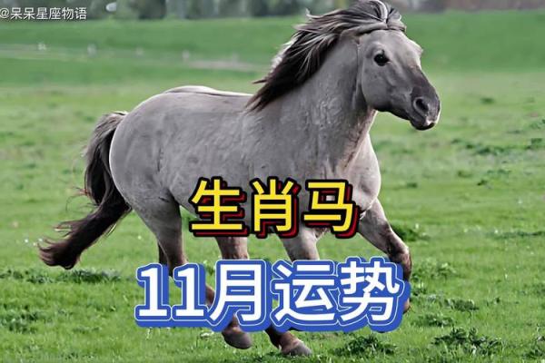 2024年54岁属马的人事业运如何？属马2024年开运方位？