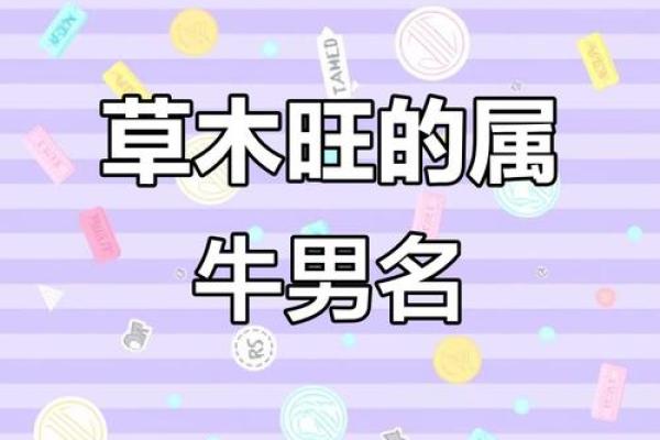农历四月牛宝宝名字大全,温暖有朝气的男孩女孩名字姓名