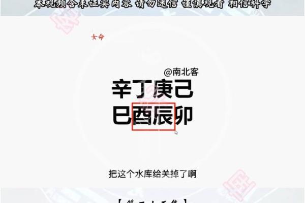 盲派八字视频